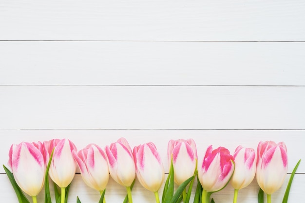 Frontera de tulipanes rosa sobre fondo blanco de madera vista superior copia espacio tarjeta de felicitación