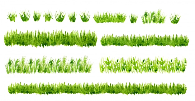Fronteras de la hierba verde acuarela conjunto aislado
