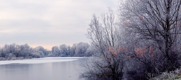 Frostbedeckte Bäume im Winter am Uferfluss morgens