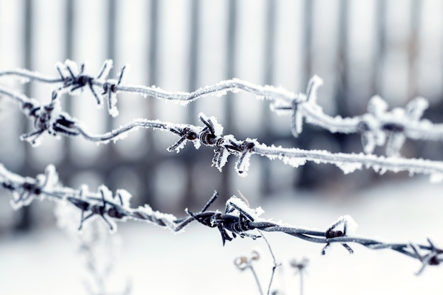 Frostbedeckter Stacheldraht, der als Zaun dient