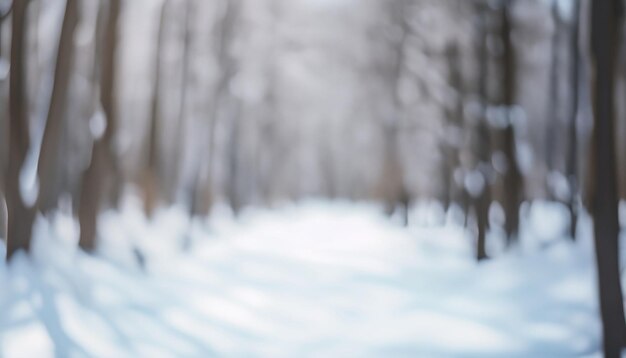 Foto frostige winterlandschaft in schneebedeckten wäldern die sonne scheint durch schneedeckte bäume