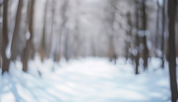 frostige Winterlandschaft in schneebedeckten Wäldern Die Sonne scheint durch schneedeckte Bäume