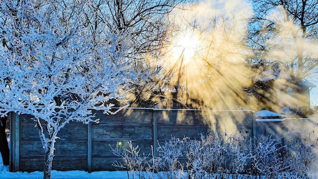 Frostiger Wintermorgen