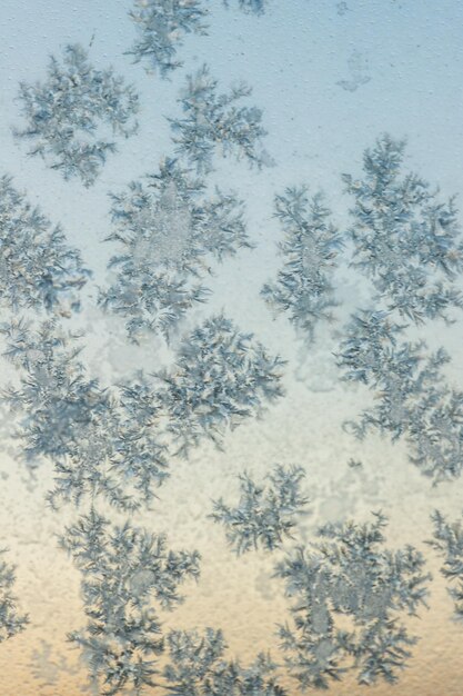 Foto frostmuster auf dem glas