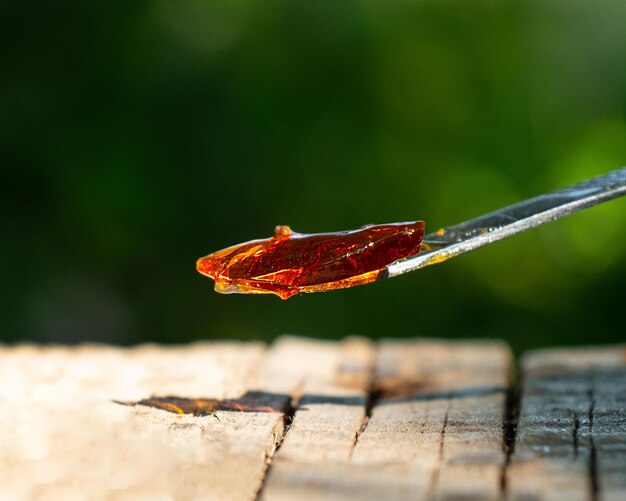 Frotis de cera de marihuana cannabis dab con palo