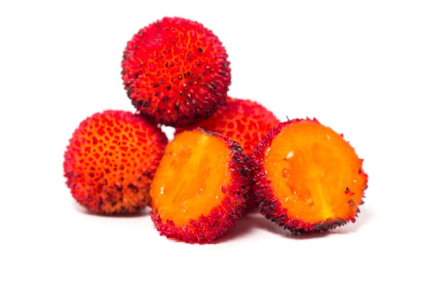 Frucht des Erdbeerbaums (Arbutus Unedo)