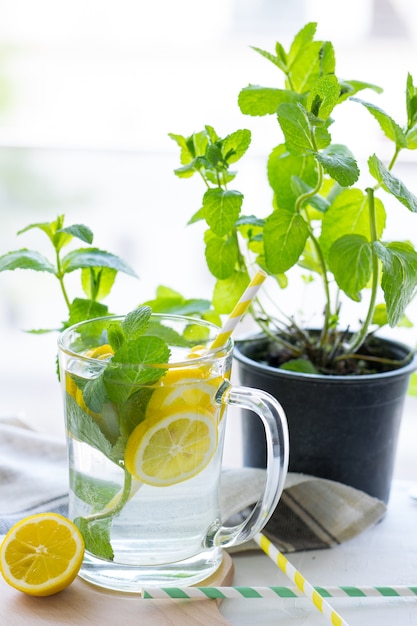 Frucht infundierte Vitaminwasser mit frischer Zitrone und Minze