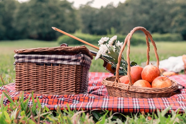 Frucht-Picknickdecke und -violine am Park.