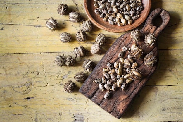 Frucht- und Rizinusöl auf dem Holztisch Ricinus Communis