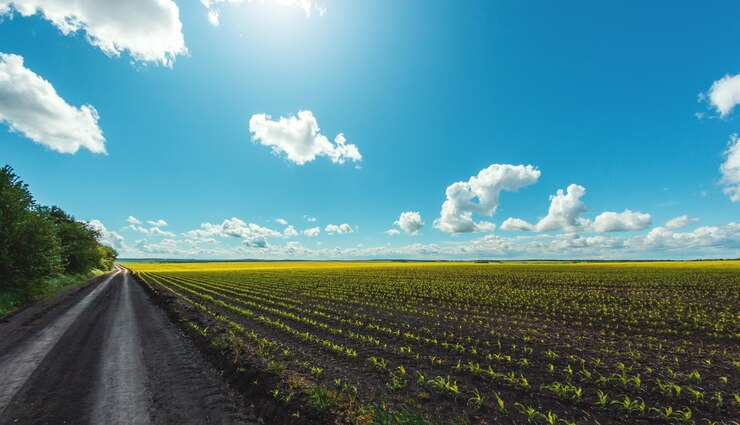 Fruchtbare landwirtschaftliche Felder für die Aussaat und den Anbau von Pflanzen