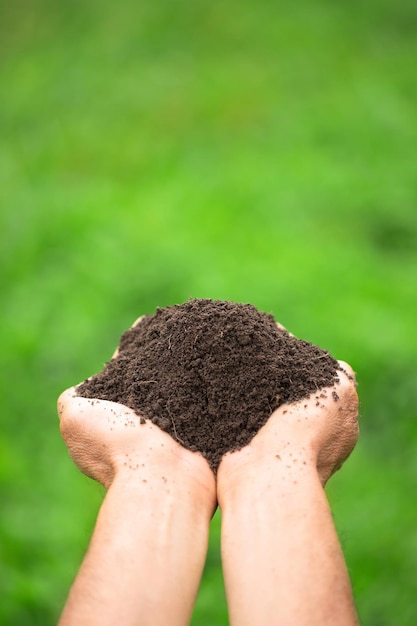 Fruchtbarer Boden in den Händen eines Bauern auf einem verschwommenen Hintergrund einer Plantage