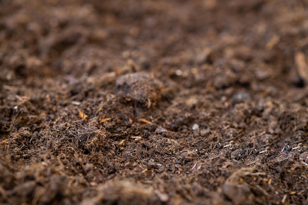 Fruchtbarer Boden Textur Hintergrund von oben gesehen Draufsicht Garten- oder Pflanzkonzept mit Kopie s