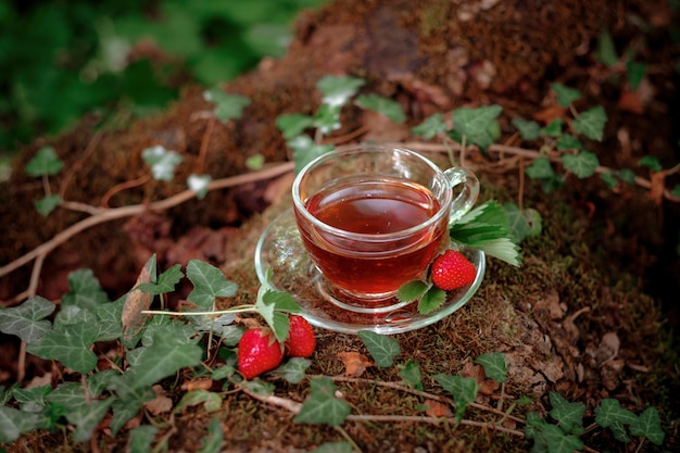 Fruchtroter Tee mit wilden Beeren in Glasschale im Wald auf hellem Hintergrund Sommersaisonkonzept der Teezeit und weicher selektiver Fokus des Sommers