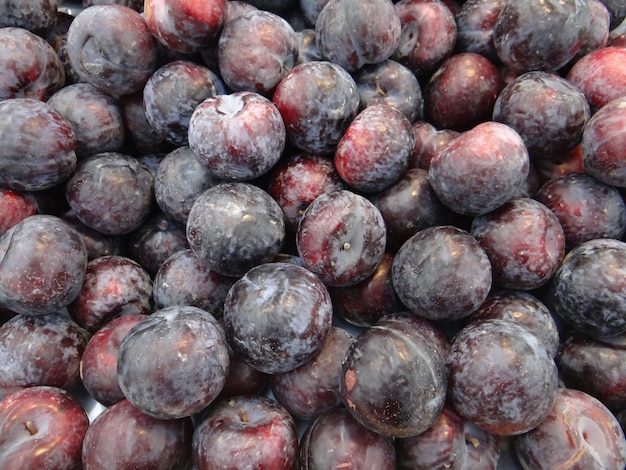 Früchte sind reich an Vitaminen, Mineralien, Fasern und Phytochemikalien