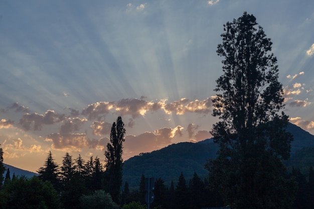 Früher Morgen am Bergfluss