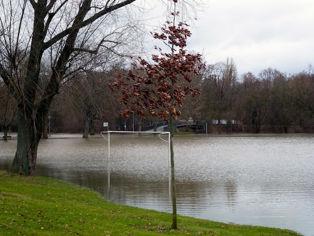 Frühjahrshochwasser Ein Fluss ist im Stadtpark über die Ufer getreten und hat das Amateur-Fußballstadion überflutet