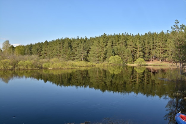 Frühling am Fluss