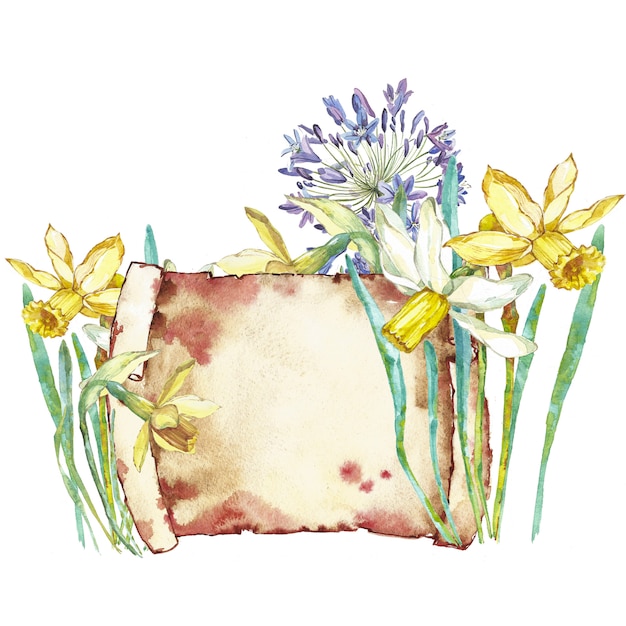 Frühling blüht Narzisse Betrachten der gezeichneten Illustration des Regals Aquarells Hand. Ostern Design.