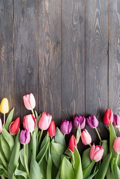 Frühling, Blumenkonzept. bunte Tulpen über schwarzem Holztischhintergrund