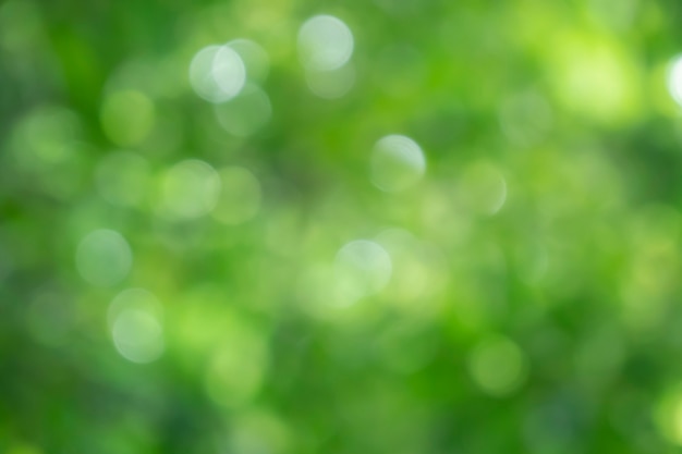 Frühling Bokeh Natur abstrakter Hintergrund Grüne Blätter verwischt schön im Frühling oder Sommer sind