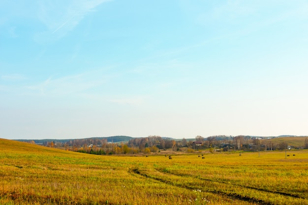 Frühling Feld