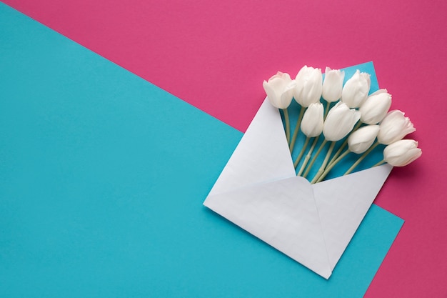 Frühling flach legen, weiße Tulpen in weißem Umschlag auf rosa und blauem Papier,