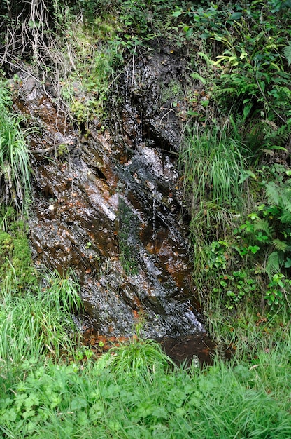 Frühling fließt entlang eines Felsens