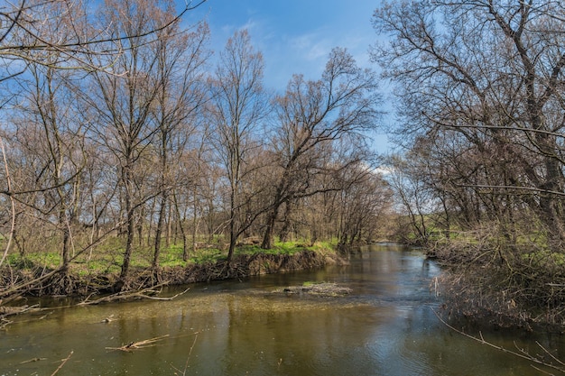 Frühling Fluss