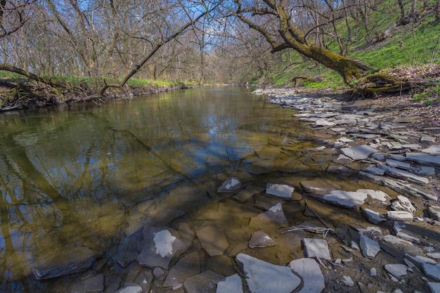 Frühling Fluss