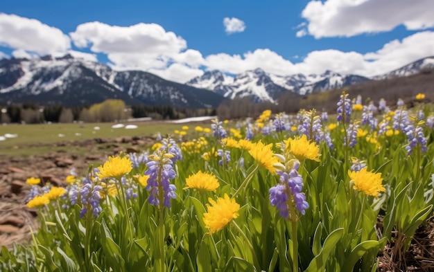 Frühling hat Frühling im Berg