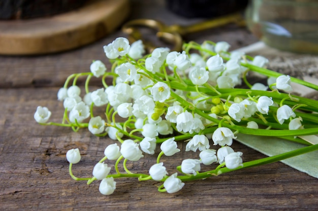 Frühling Holztisch Maiglöckchen