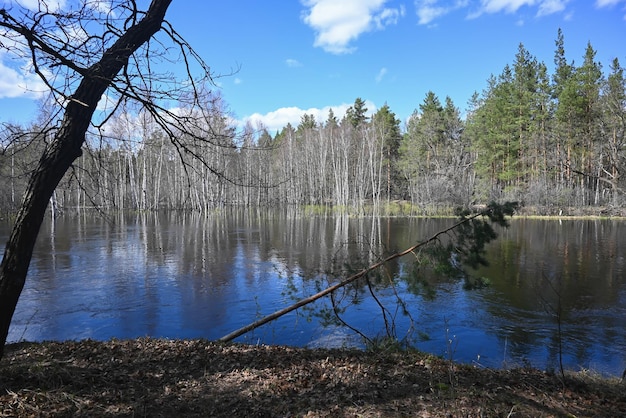 Frühling im Nationalpark