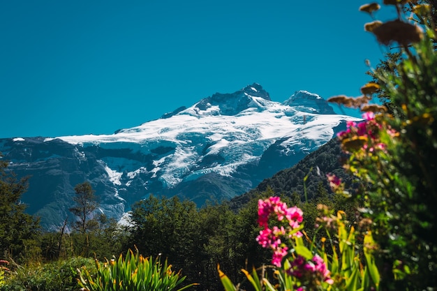 Frühling im verschneiten Berg Argentinien