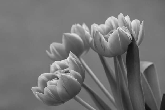 Foto frühling in deutschland