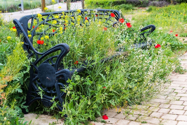 Frühling in seiner ganzen pracht auf der bank