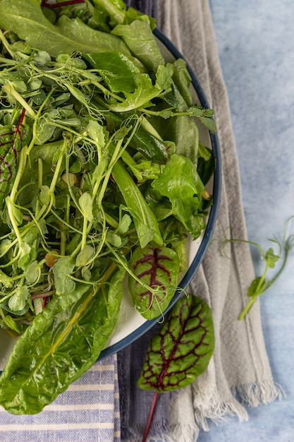 Frühling oder Sommer Detox Green Mix Salat mit Microgreens auf einem Teller