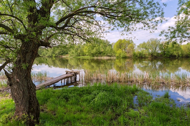 Frühling, Sommerufer des Flusses mit Bäumen entlang des Ufers, Gras und einer Fischerbrücke