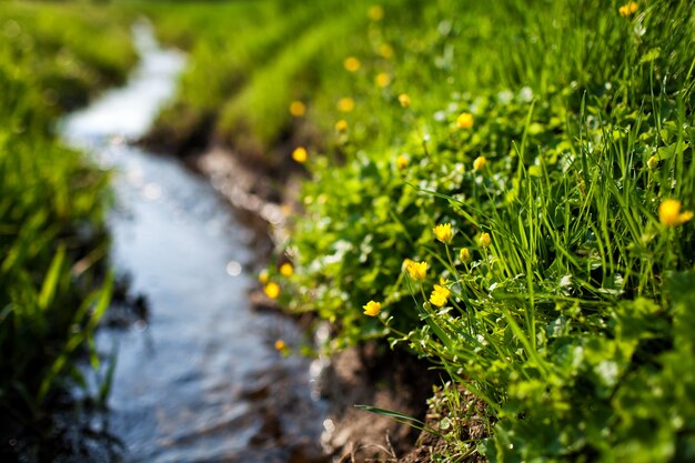 Frühling