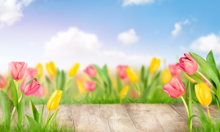 Foto frühlings-hintergrund mit holztisch und tulpen