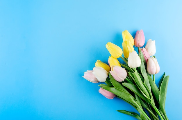 Frühlings- oder Feiertagskonzept, ein Strauß Tulpen auf blauem Hintergrund.