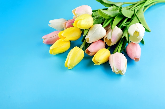 Frühlings- oder Feiertagskonzept, ein Strauß Tulpen auf blauem Hintergrund.