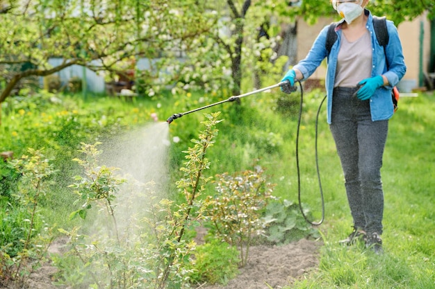 Frühlings- und Sommerarbeit im Garten, Hinterhof, Frau mit Rucksack, Gartenspritzpistole unter Druck, Umgang mit Sträuchern und Rosen. Schutz und Pflege von Pflanzen vor Insektenschädlingen und bakteriellen Krankheiten