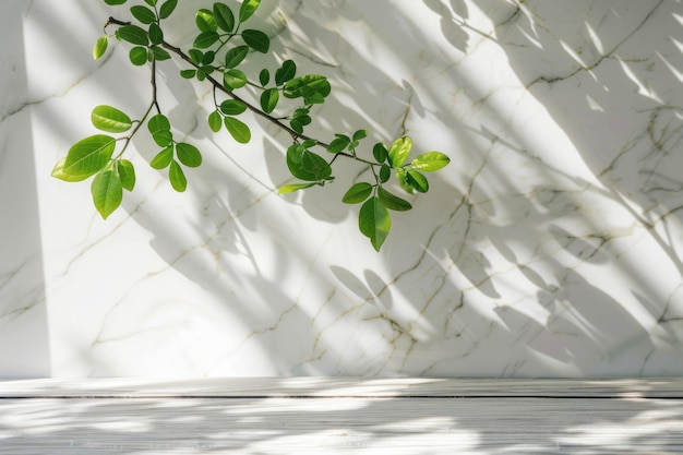 Frühlingsblätter auf Zweigen mit Sonnenlicht und Schatten