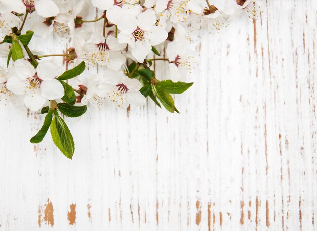 Frühlingsblüte auf hölzernem Hintergrund