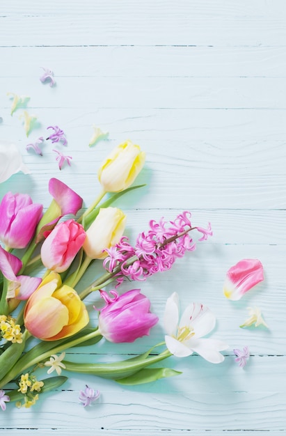 Frühlingsblumen auf blauem hölzernem Hintergrund