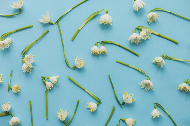 Frühlingsblumen auf blauem Papier flach legen Trendiges Blumenmuster Hallo Frühling und glücklicher Frauentag