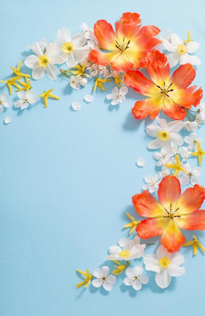 Frühlingsblumen auf blauem Papierhintergrund