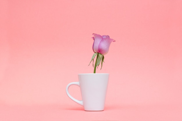 Foto frühlingsblumen auf einem rosa hintergrund