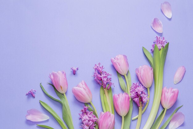 Frühlingsblumen auf purpurfarbenem Papierhintergrund