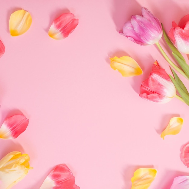 Frühlingsblumen auf rosa Hintergrund